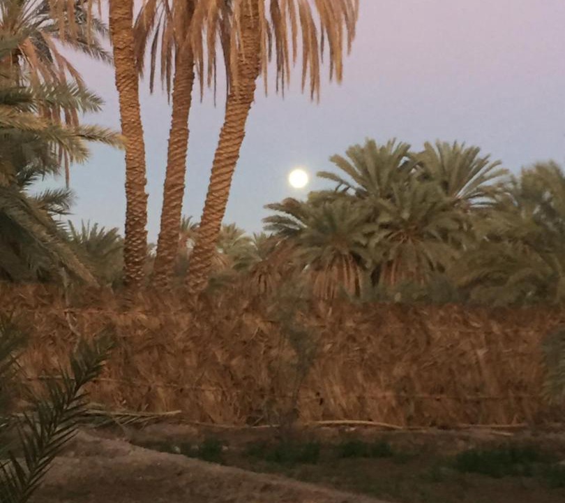 Siwa Apartment | Siwa Spot - Authentic Siwan Room with Private Patio