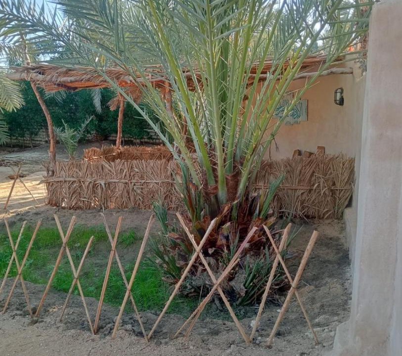 Siwa Apartment | Siwa Spot - Authentic Siwan Room with Private Patio