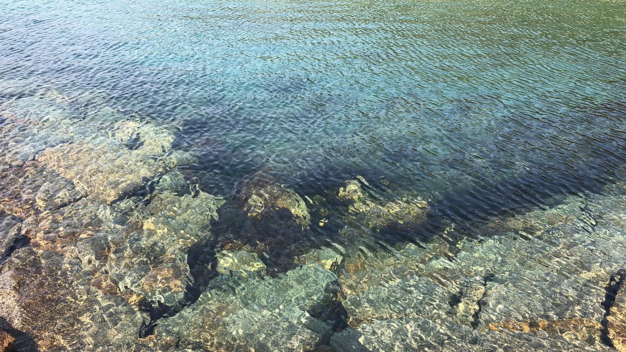Photo of Others in Shodoshima