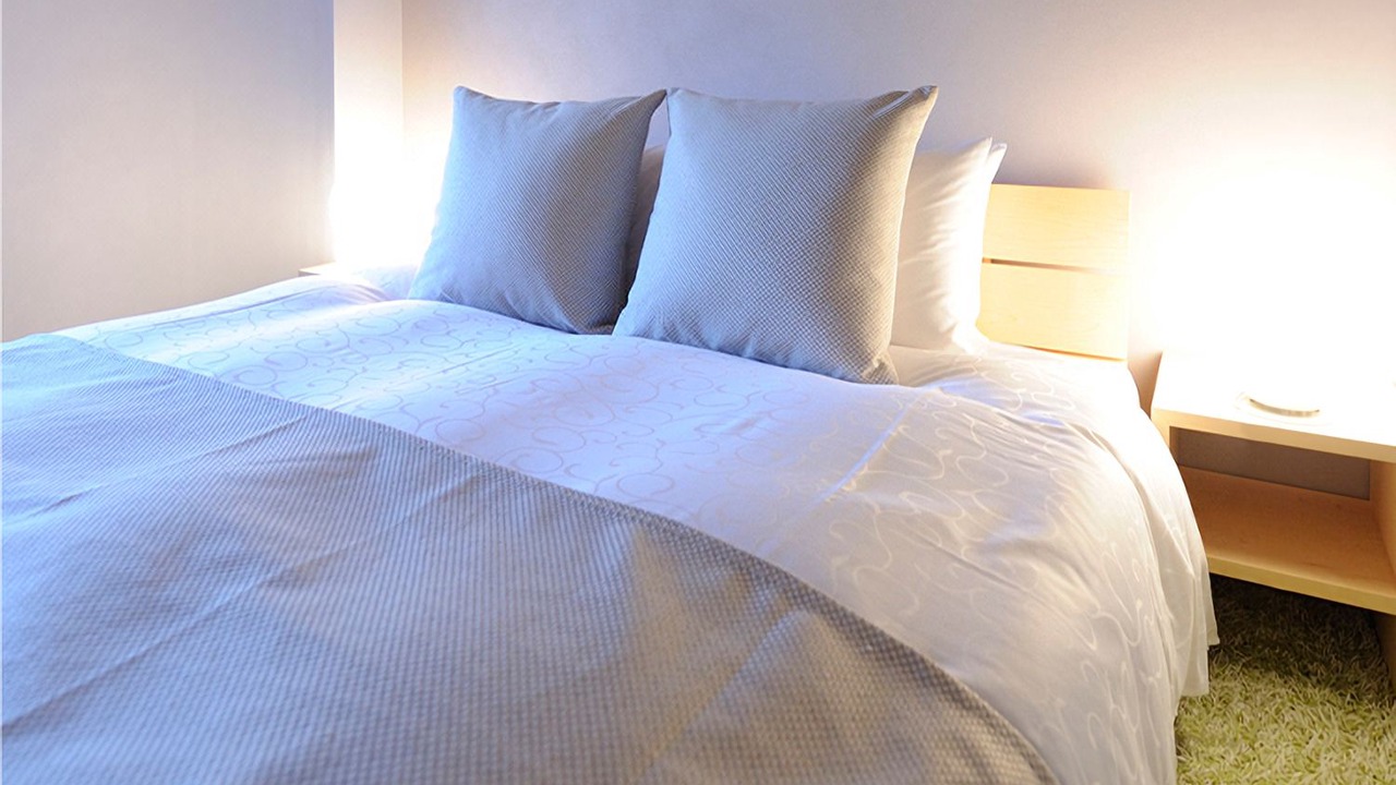 Photo of Bedroom in Nishiazabu