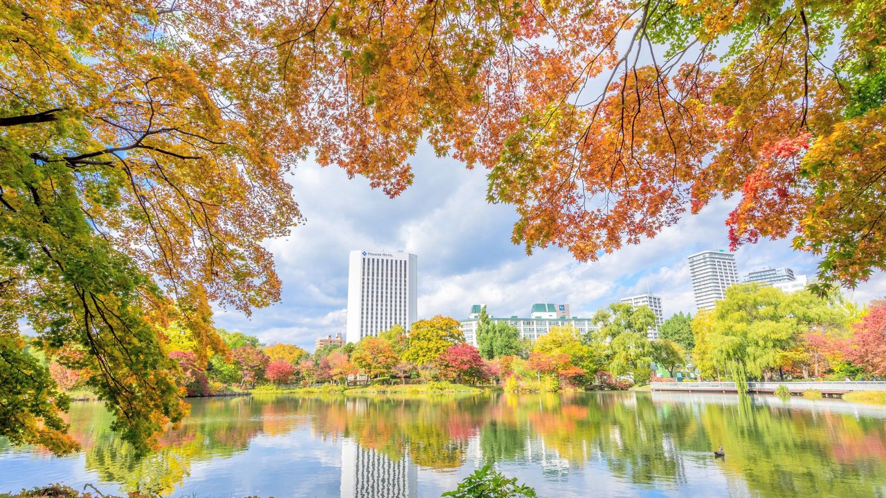 Photo of Outdoor in Nakajimakoen