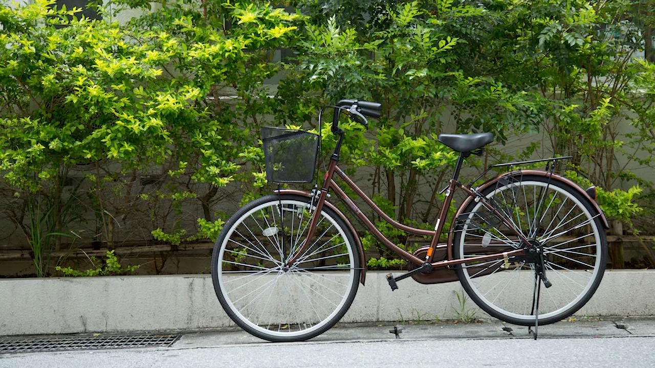Photo of Others in Makishi