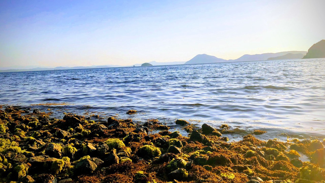 Photo of Others in Shodoshima