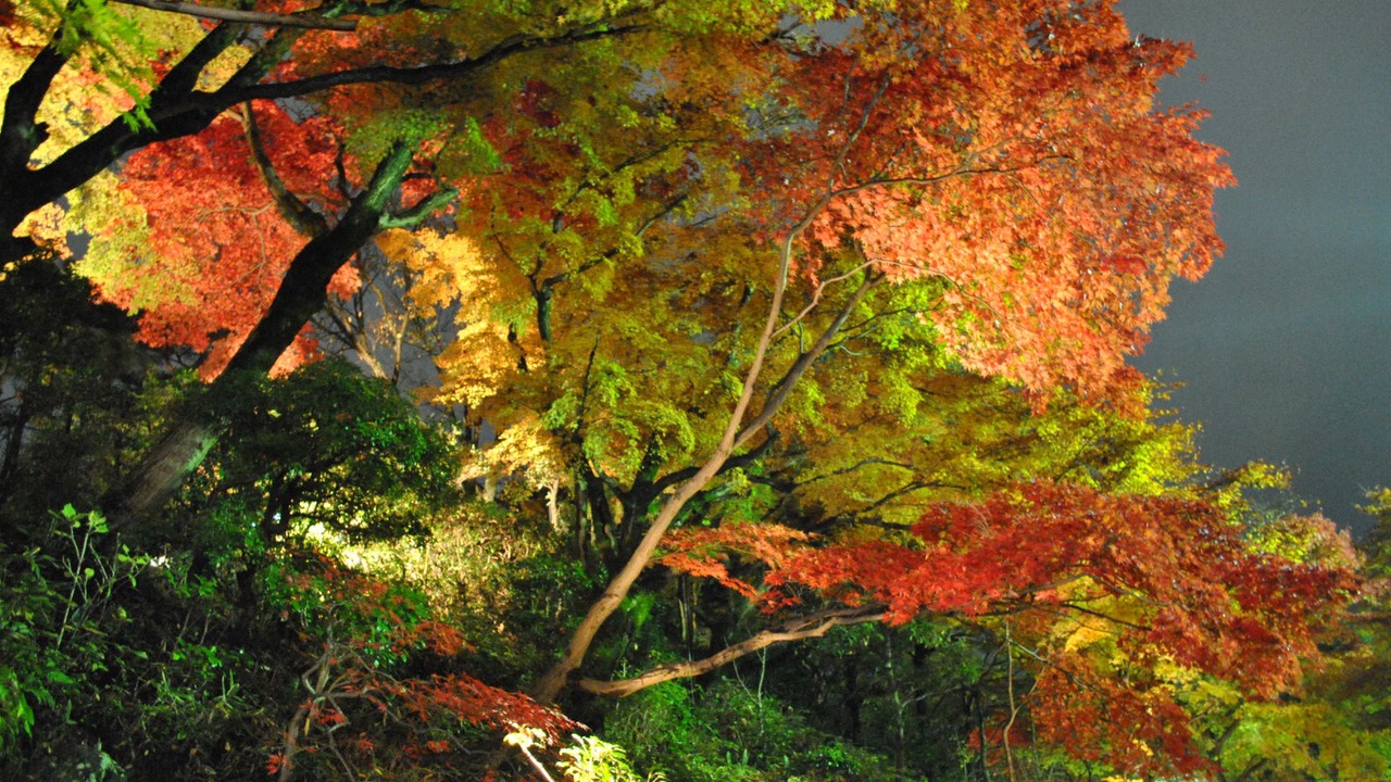 Photo of Outdoor in Kita Ward