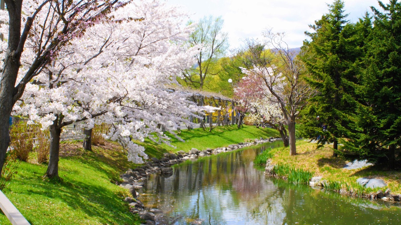 Photo of Outdoor in Nakajimakoen