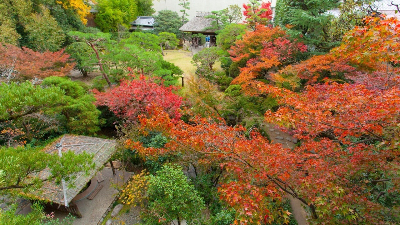 Photo of Others in Dogo Hot Spring