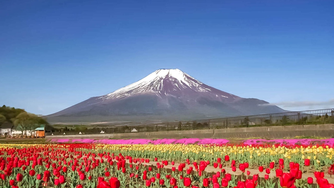 Photo of Outdoor in Yamanakako