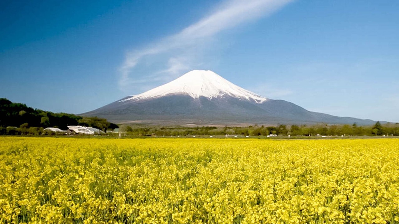 Photo of Outdoor in Yamanakako