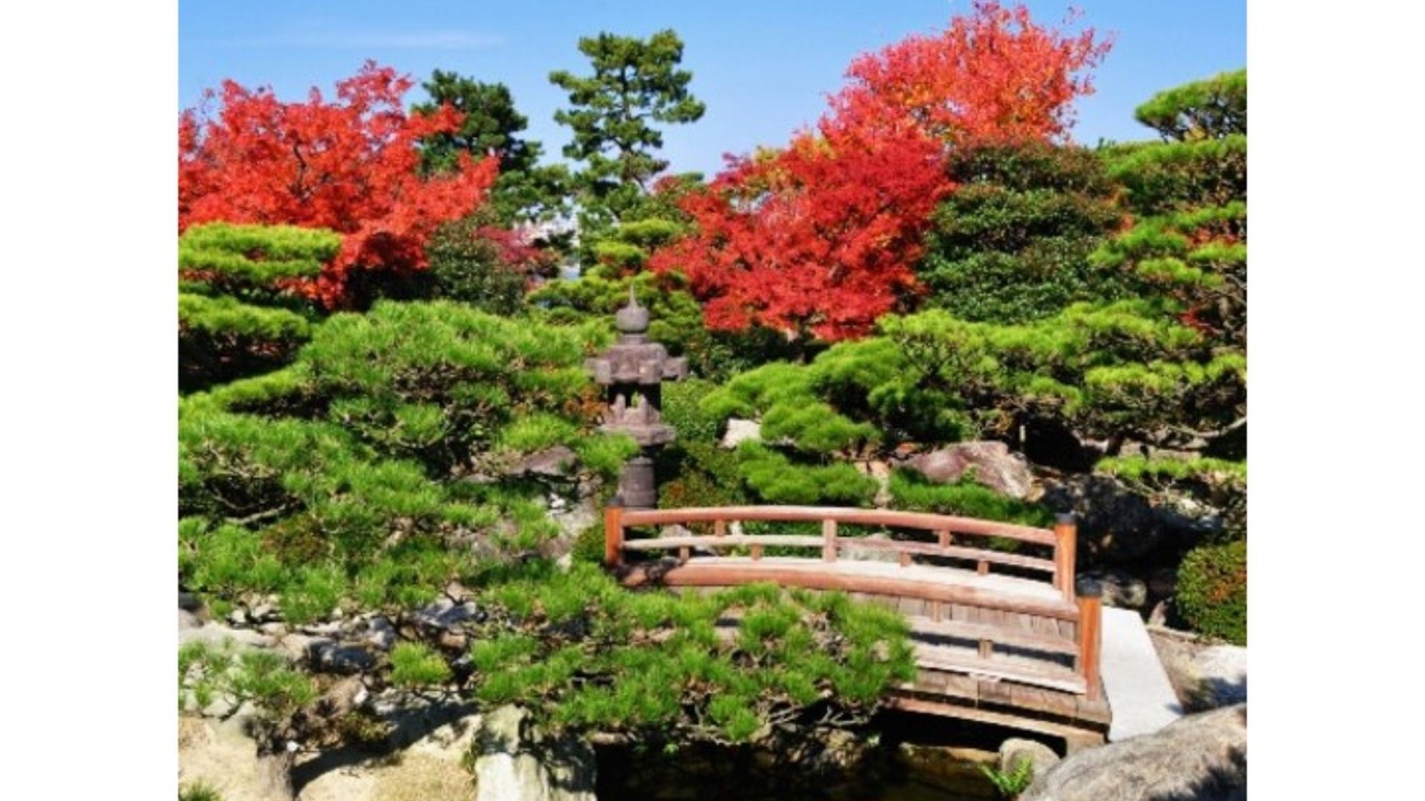 Photo of Patio Balcony in Hakataekihigashi