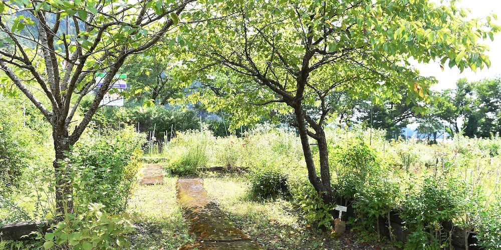 Photo of Outdoor in Azagawa