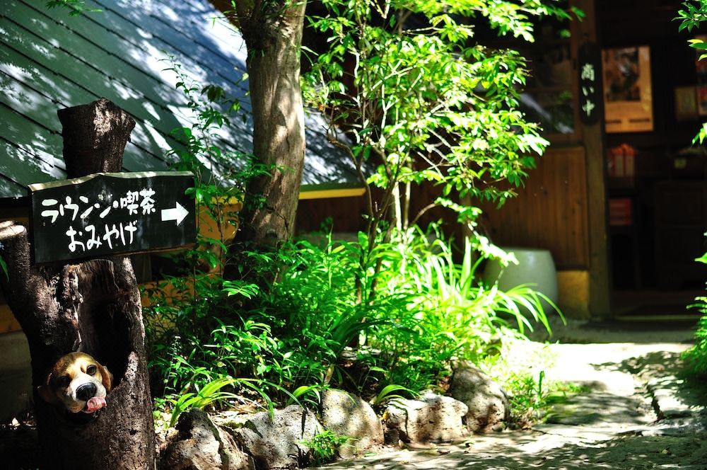 Photo of Others in Kurokawa Onsen