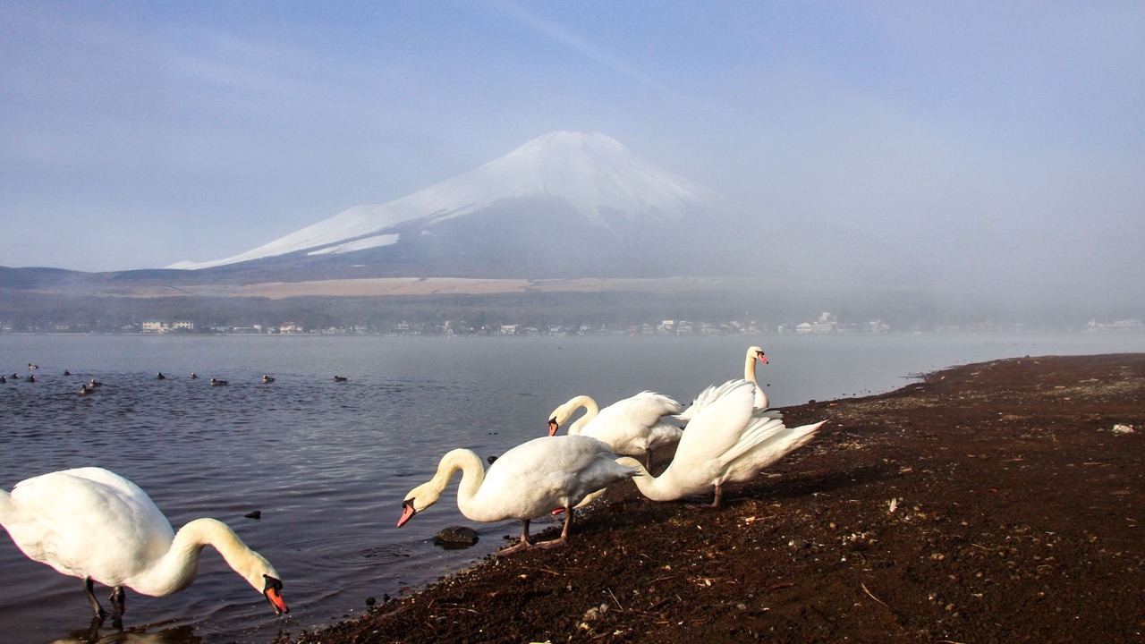 Photo of Outdoor in Yamanakako