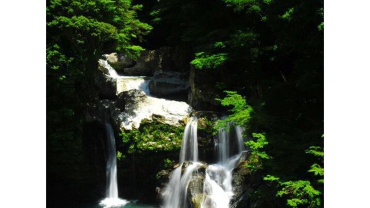 Photo of Others in Anan