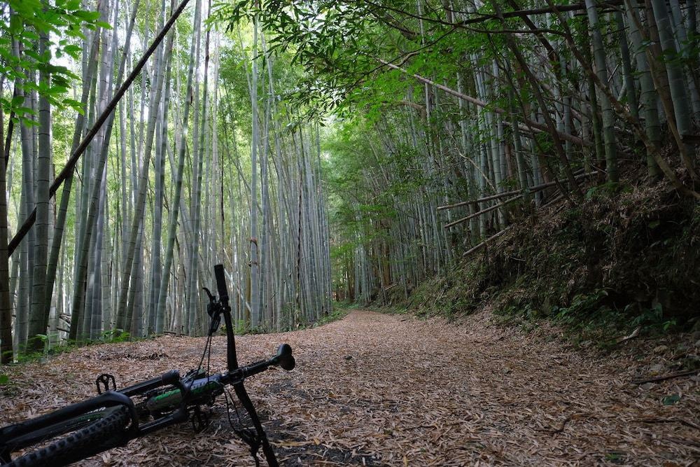 Photo of Outdoor in Hata-gun