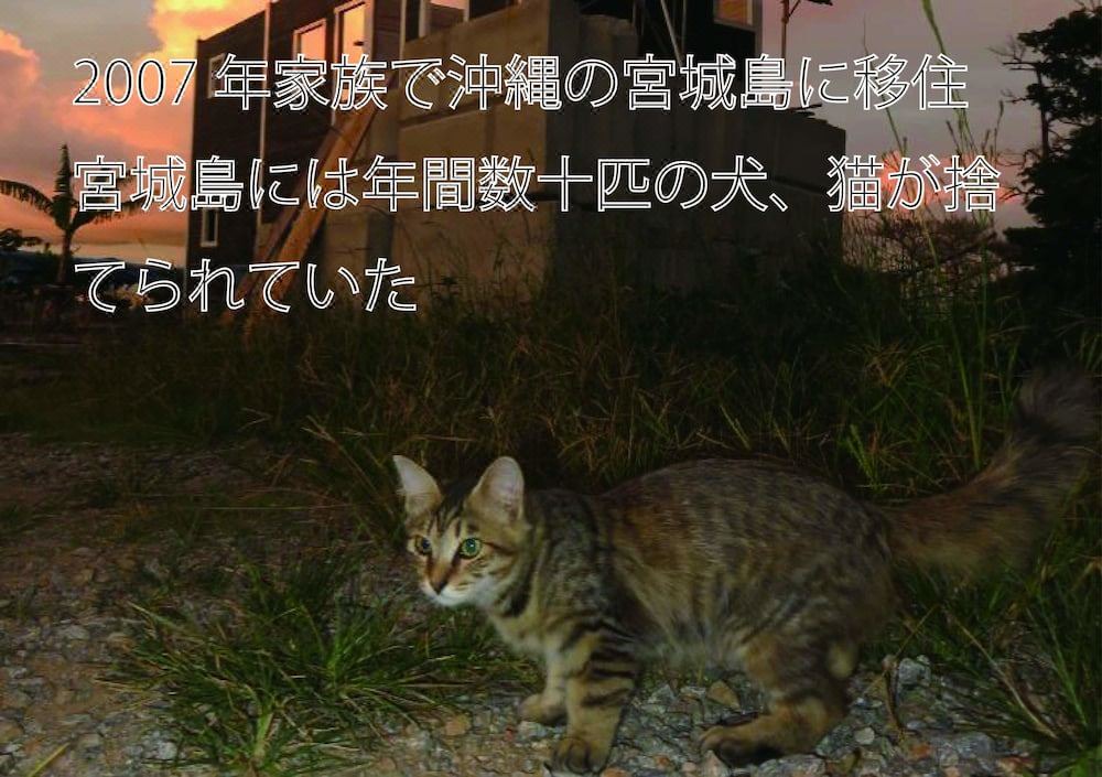Photo of Buildings in Gushiken