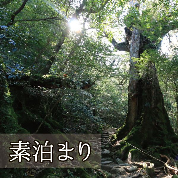 Photo of Others in Miyanoura