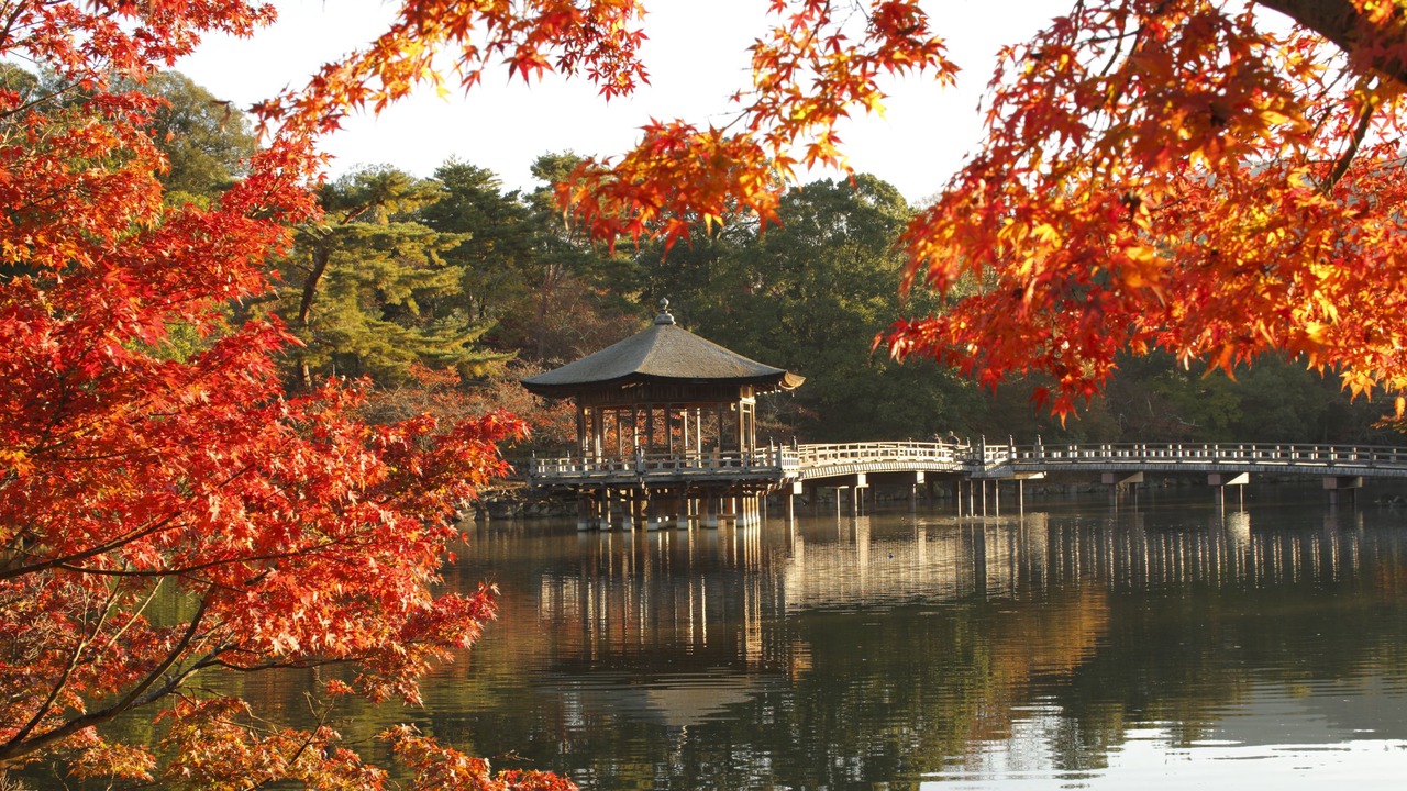 Photo of Others in Noborioji