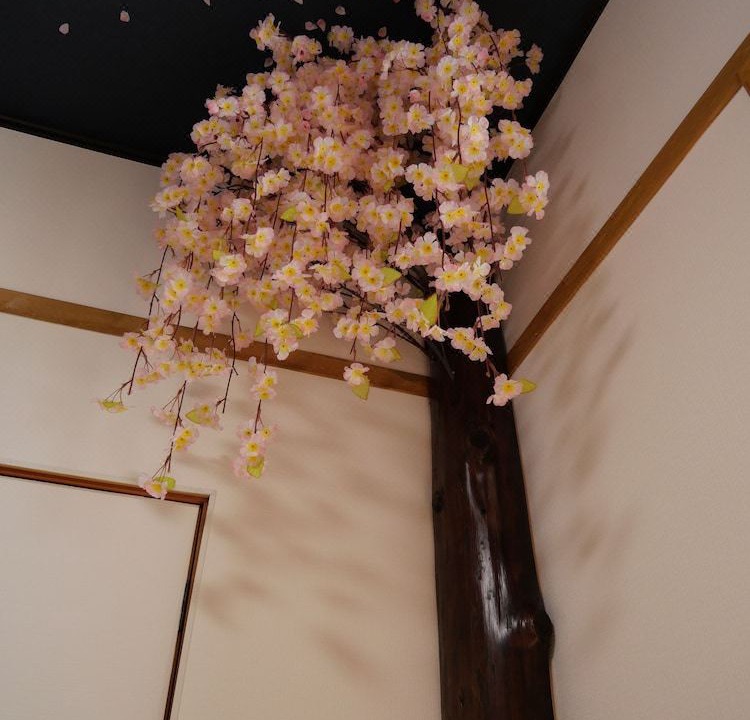 Photo of Bedroom in Hida Takayama Onsen