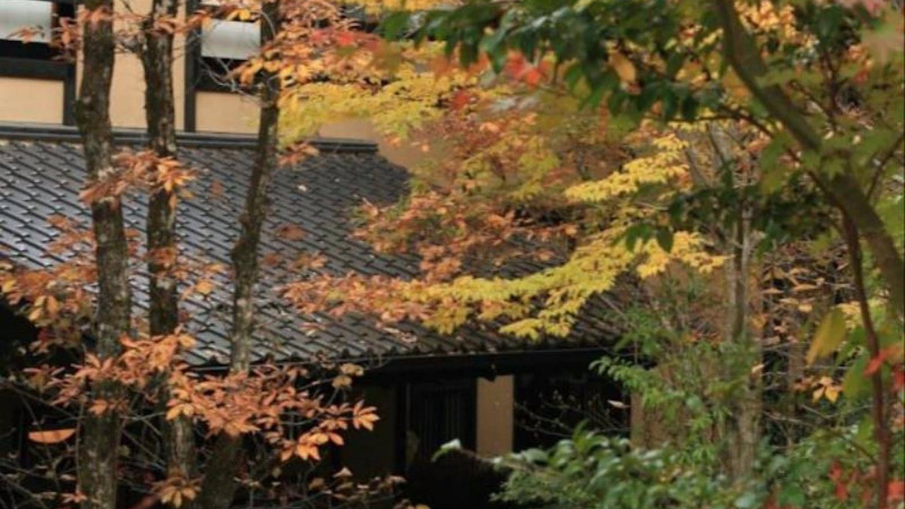 Photo of Others in Kurokawa Onsen