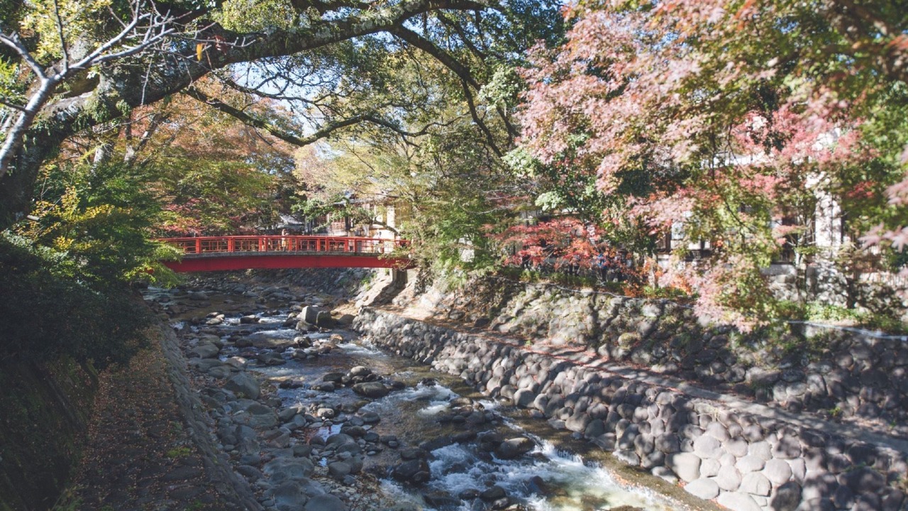 Photo of Others in Shuzenji