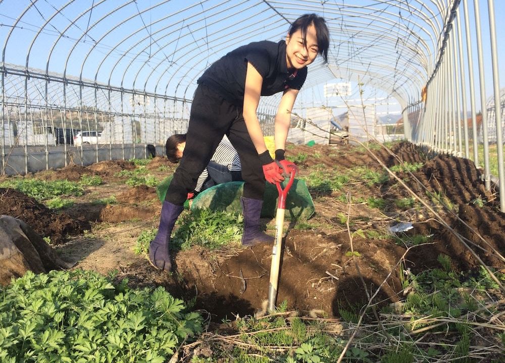 Photo of Human In Picture in Nishiaizu-machi