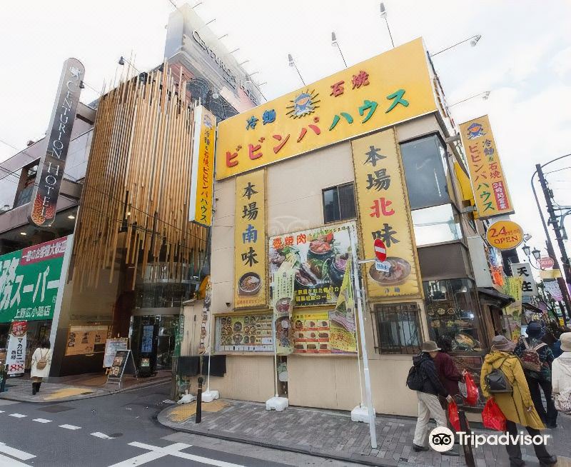 Photo of Others in Ueno