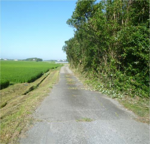 Photo of Others in Tateyama