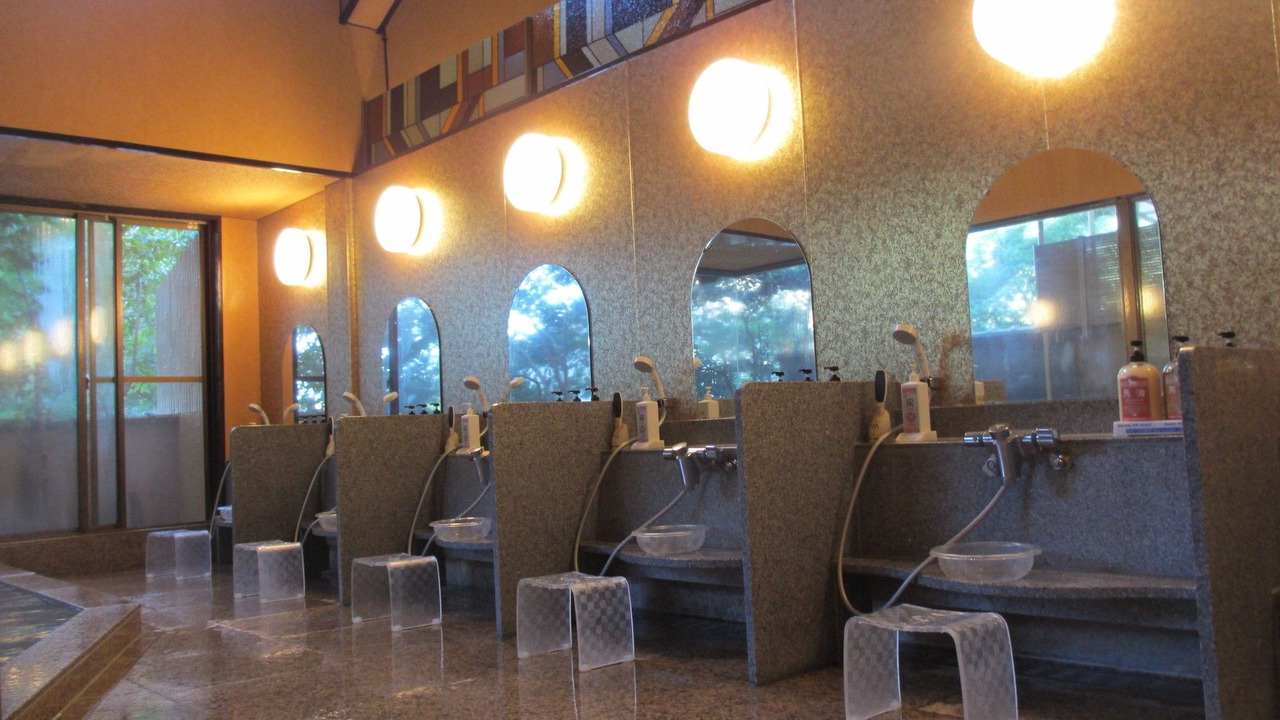 Photo of Livingroom in Yumoto