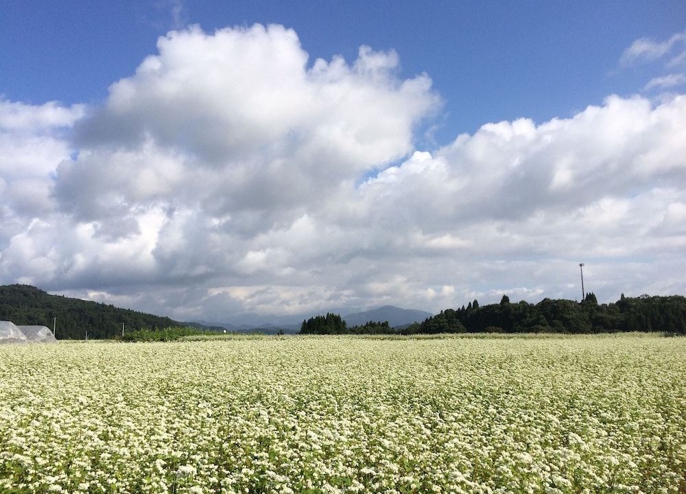 Photo of Others in Nishiaizu-machi