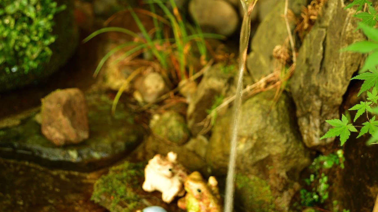 Photo of Others in Minamioguni