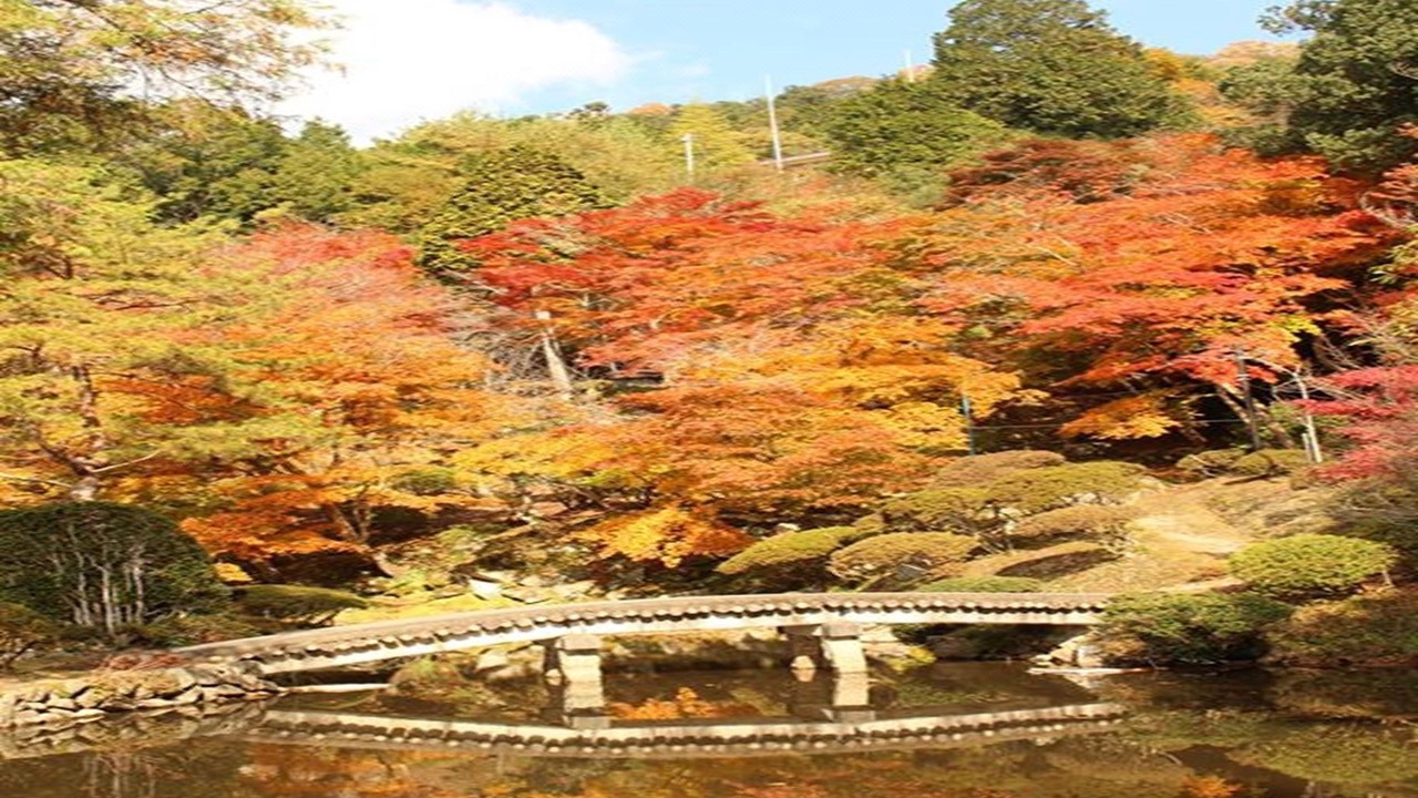 Photo of Others in Akitakata