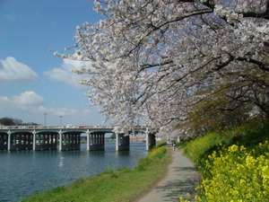 Photo of Buildings in Okazaki