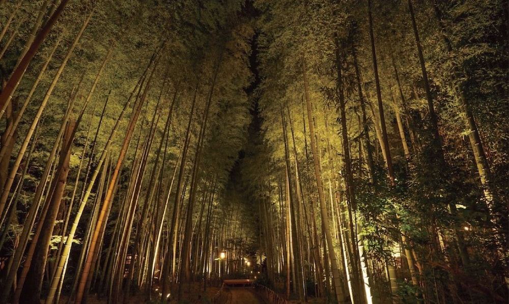 Photo of Outdoor in Shuzenji