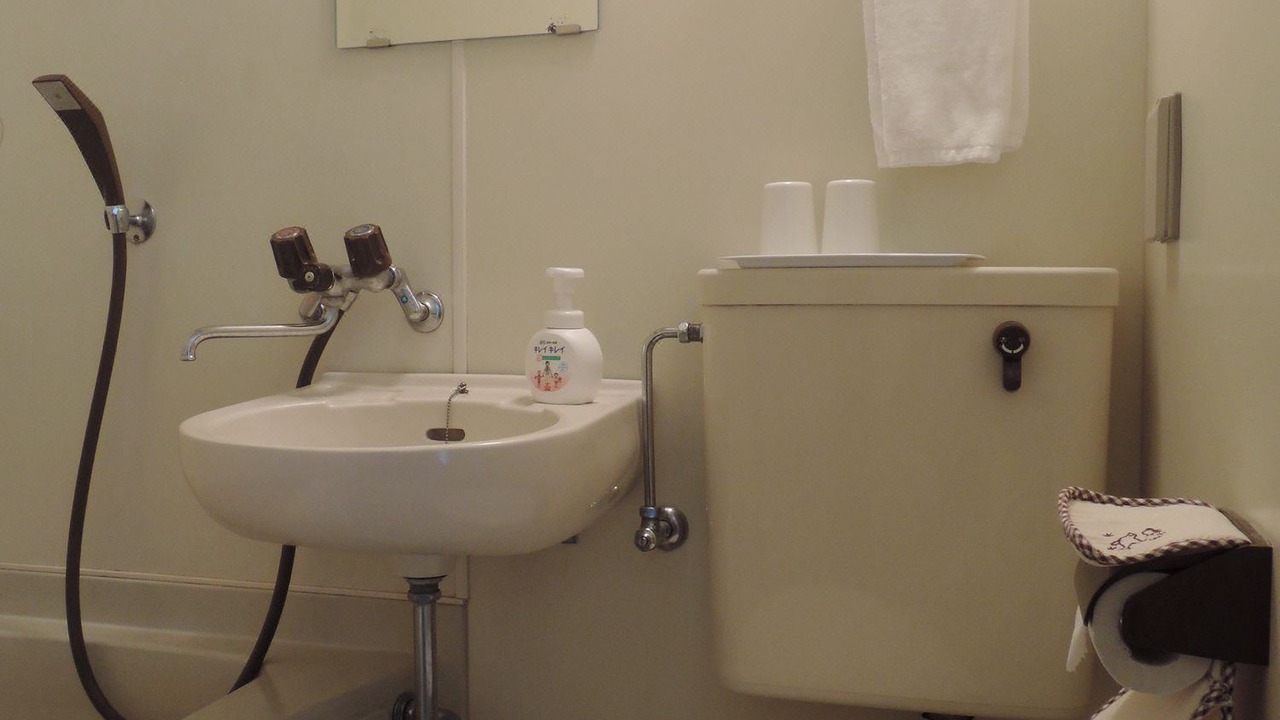 Photo of Bathroom in Nikko