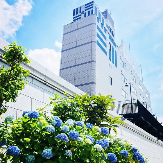 Photo of Buildings in Kiyosumi