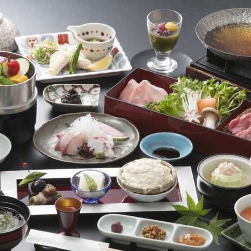 Photo of Others in Ureshino