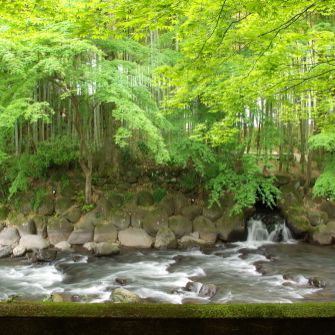 Photo of Others in Shuzenji