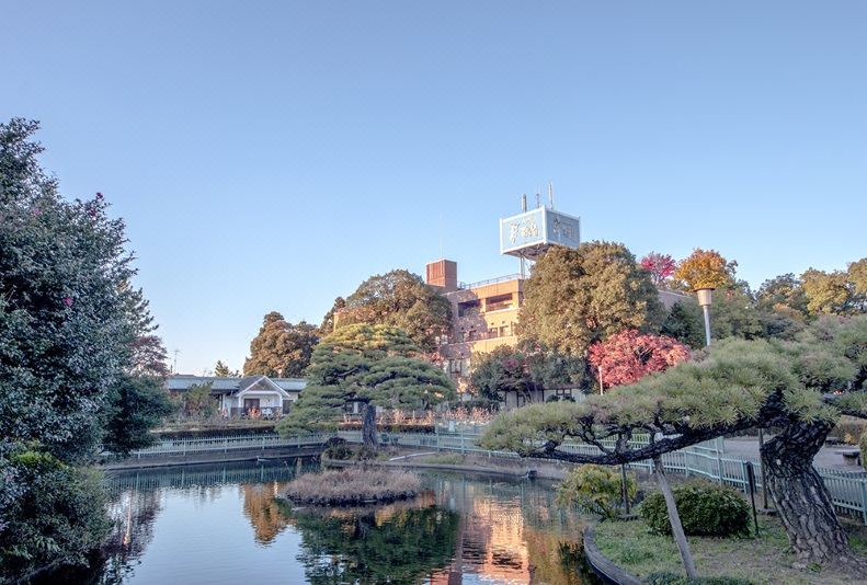 Photo of Others in Higashimatsuyama