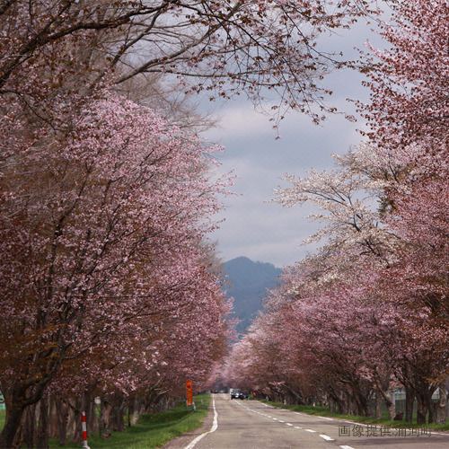 Photo of Others in Urakawa