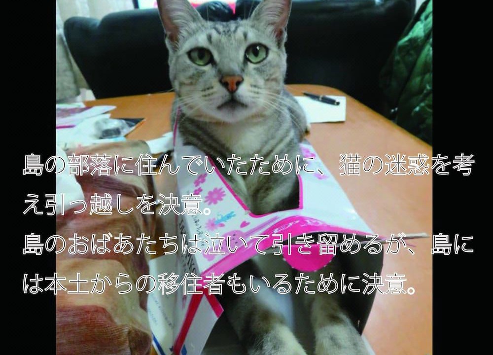 Photo of Others in Gushiken