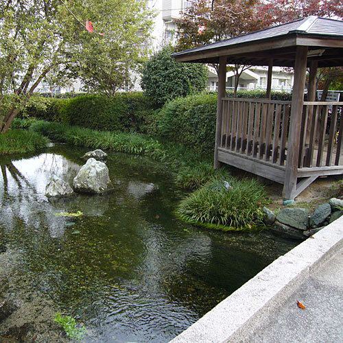 Photo of Buildings in Saijo