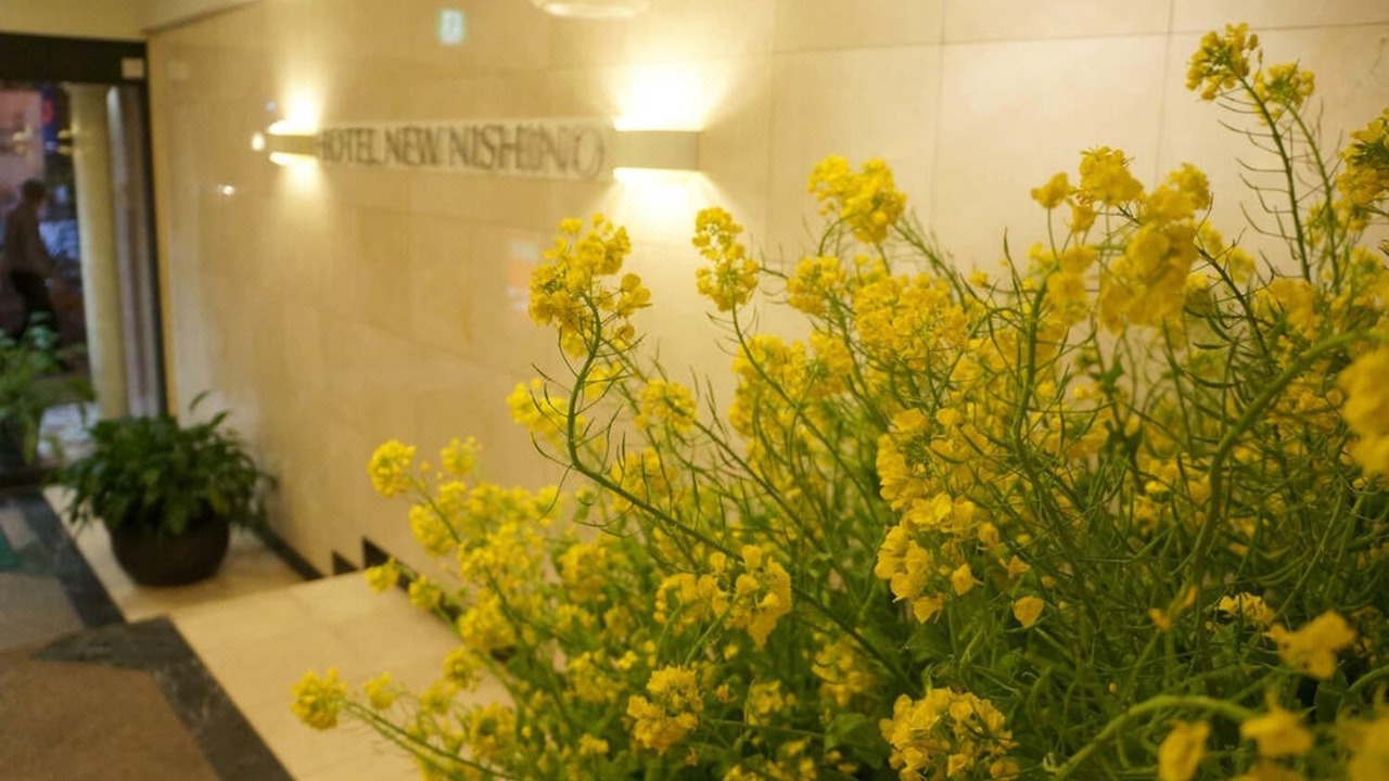 Photo of Others in Sennichi-cho