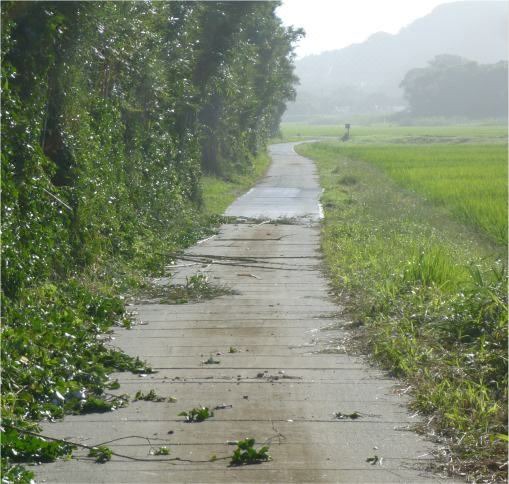 Photo of Outdoor in Tateyama