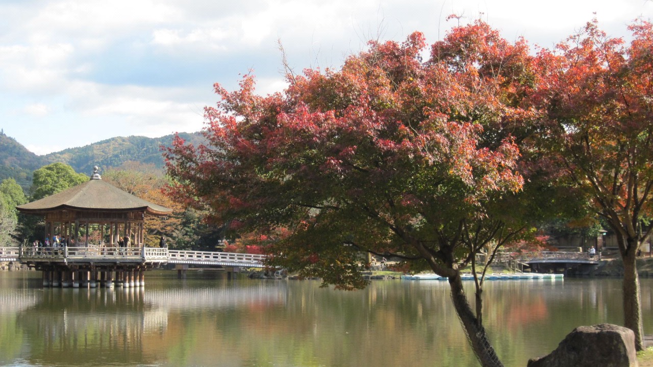 Photo of Outdoor in Noborioji