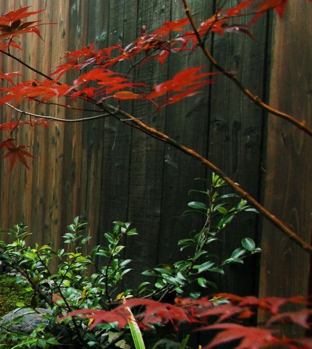 Photo of Patio Balcony in Nishijin