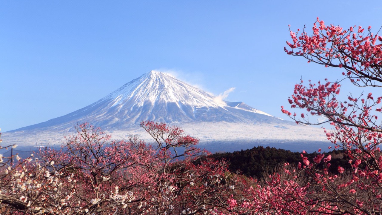 Photo of Outdoor in Irifune