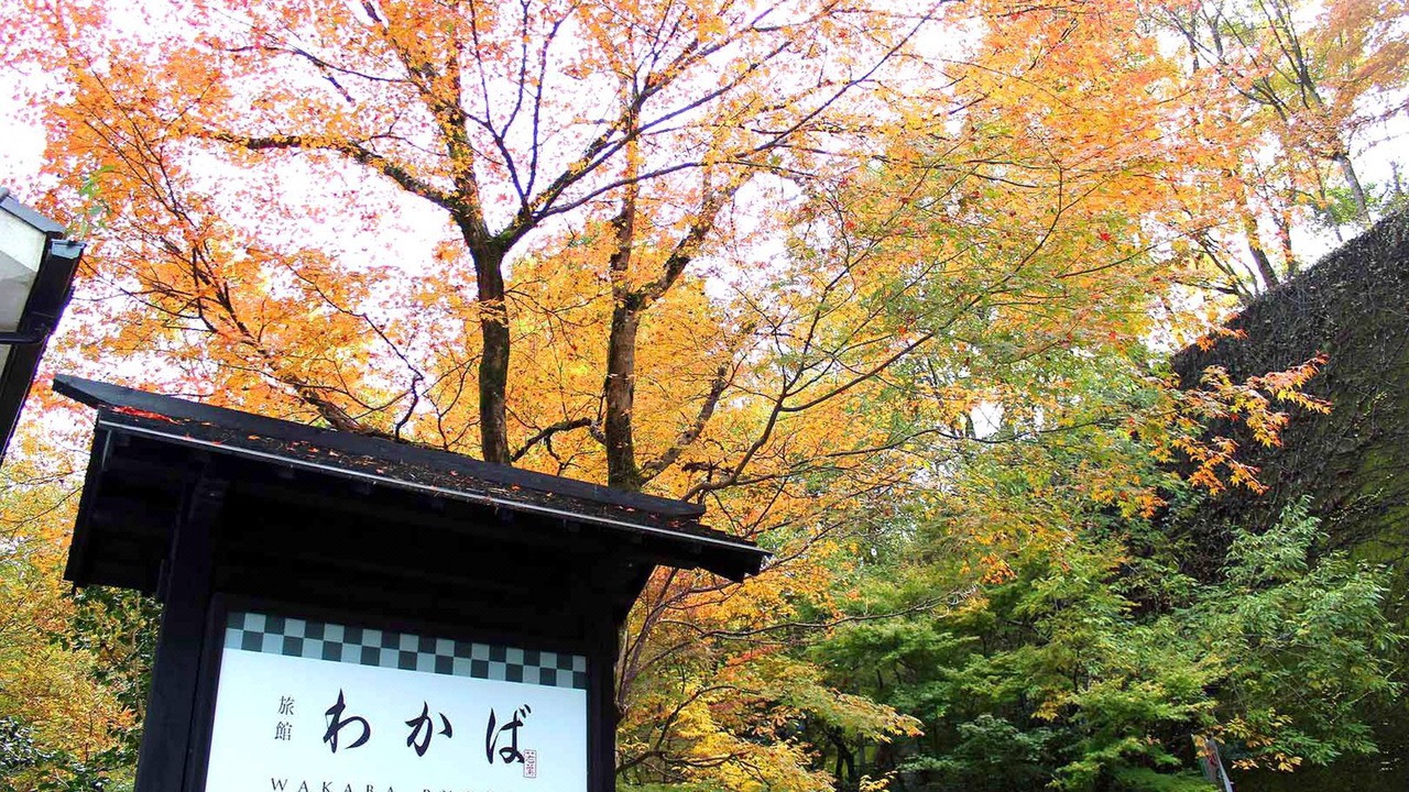 Photo of Buildings in Kurokawa Onsen