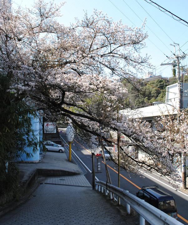Photo of Others in Kita Ward