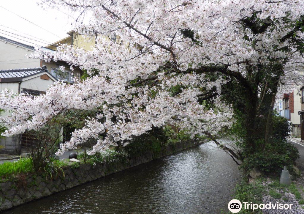 Photo of Others in Shimogyo