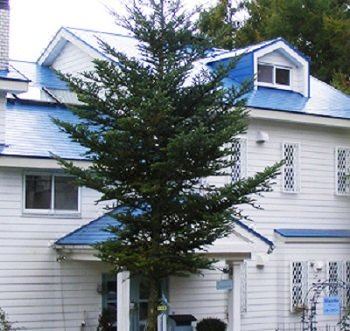 Photo of Buildings in Hokuto